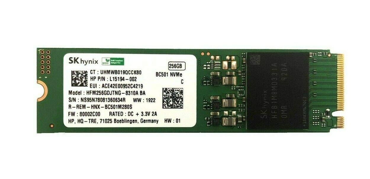 FTG International HFM256GDJTNG-8310A - 256GB
