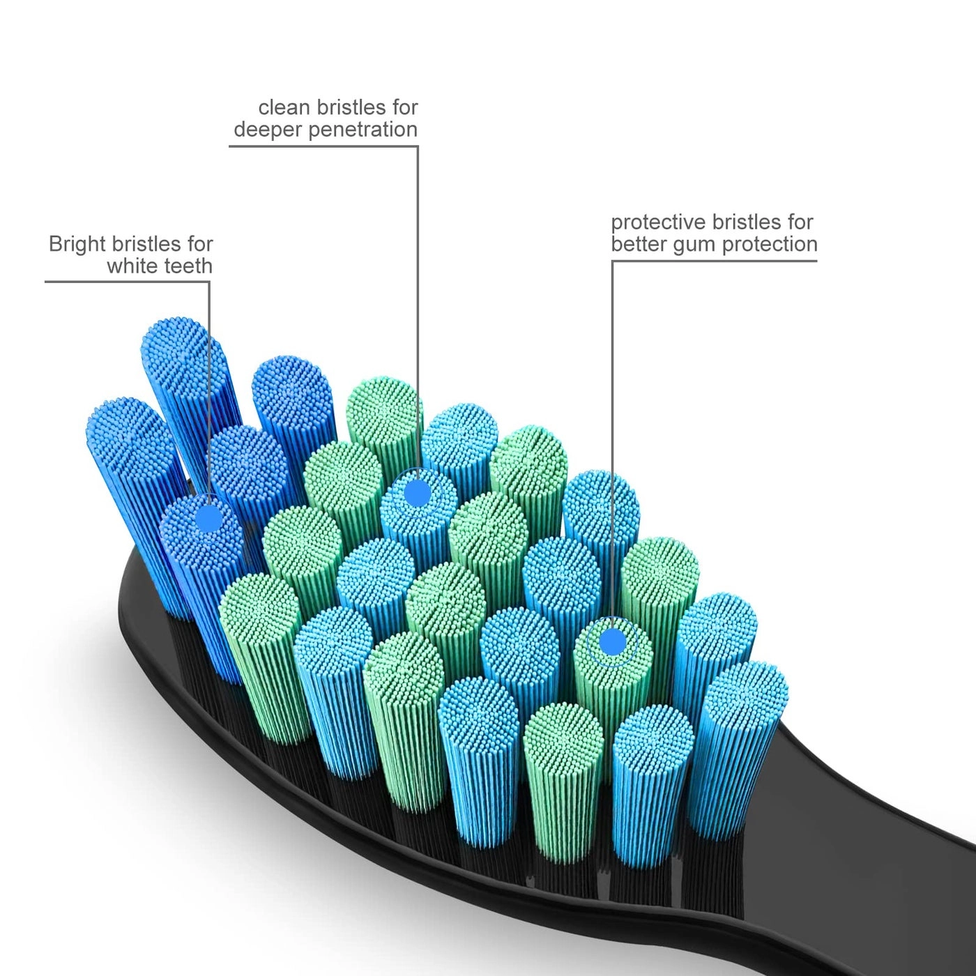 Toothbrush Replacement Heads - 10 Pack FW507 FW508