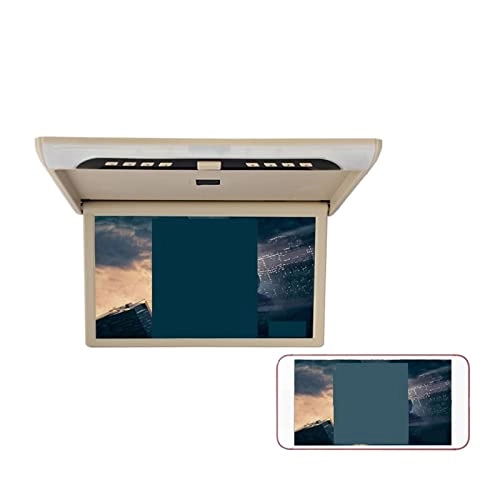 Car Ceiling Display - 19 Inch
