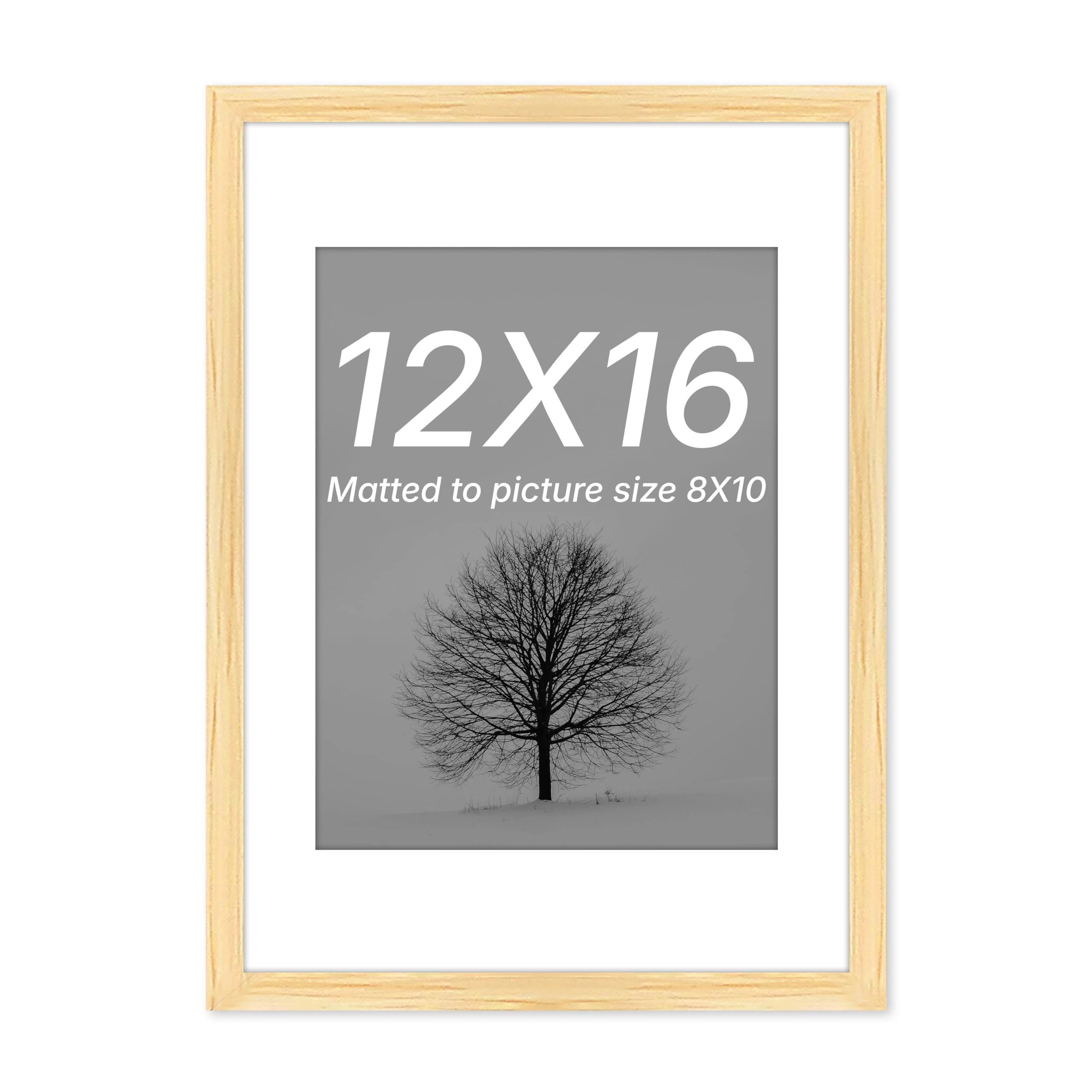 Document Frame - 12x16 Inch
