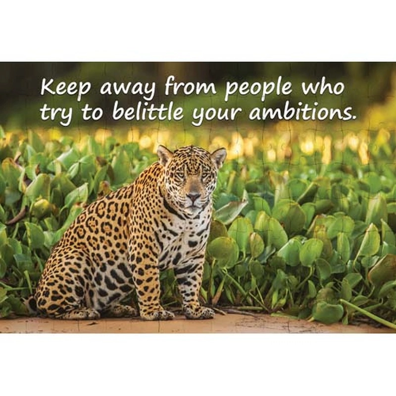 Ajooba Dubai Motivation Puzzle (7638)