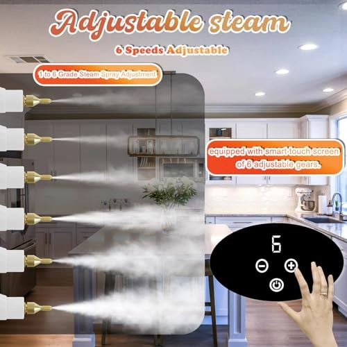 Steam Cleaner - 1000 Milliliters