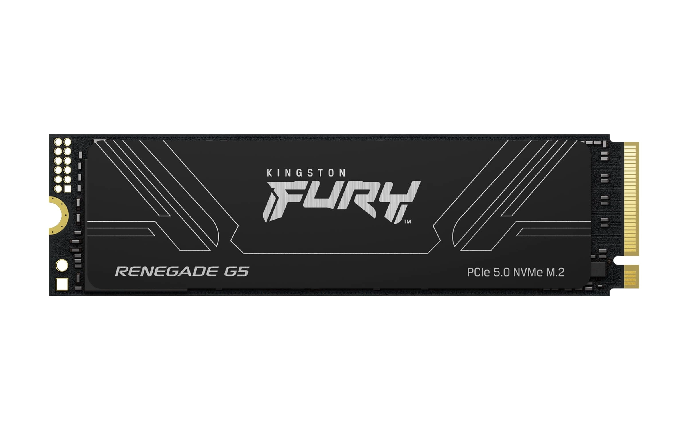 Kingston Digital International Ltd FURY Renegade G5 - 4096 GB M2