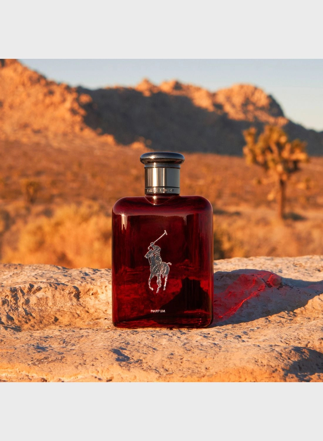 Polo Red Eau de Parfum 75ml