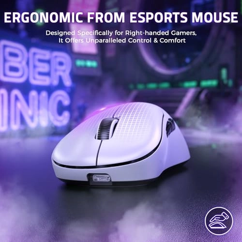 T700 - 2.4GHz Bluetooth USB