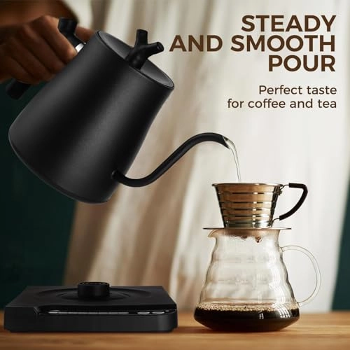 Gooseneck Electric Kettle