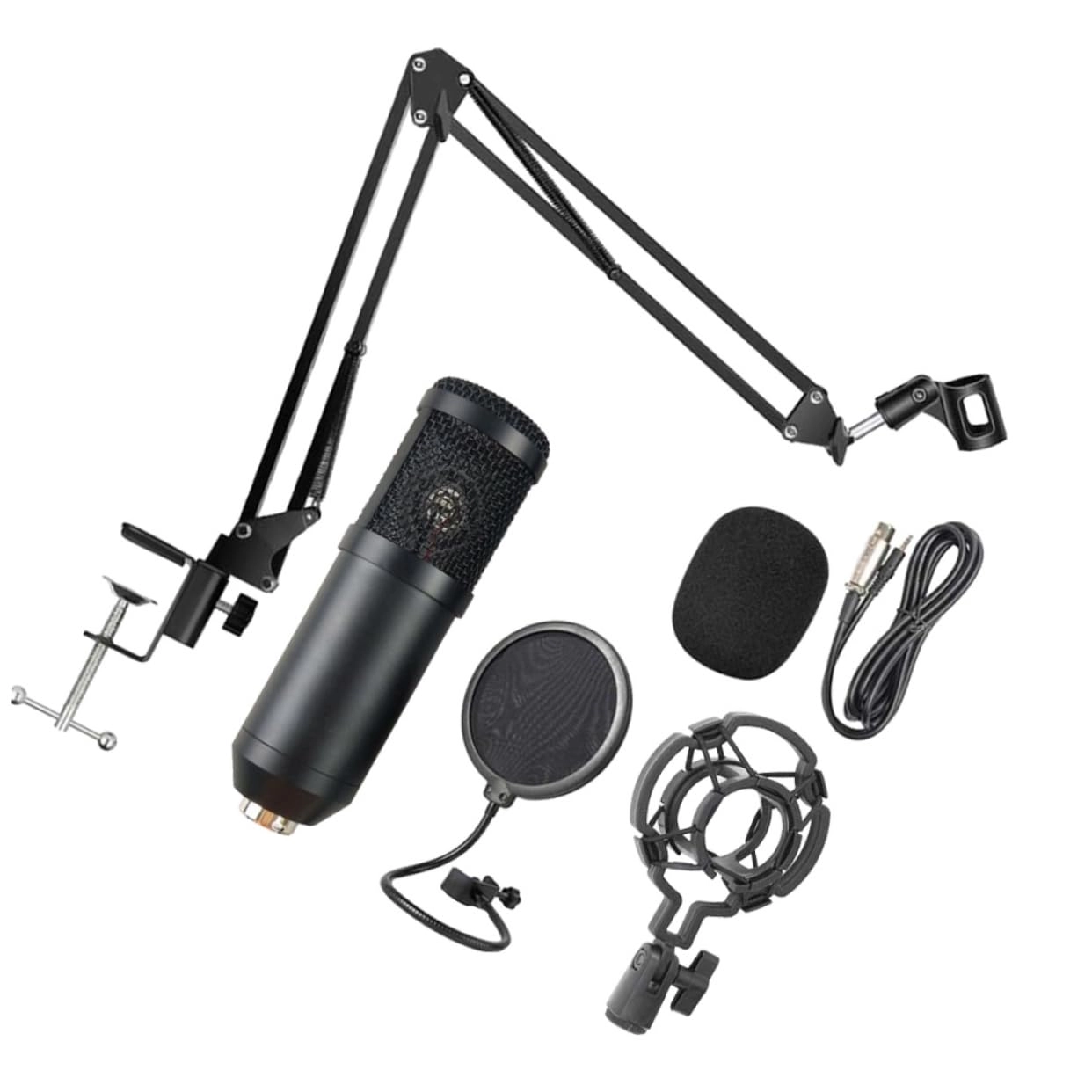 Condenser Microphone - Wireless Microphone Kit