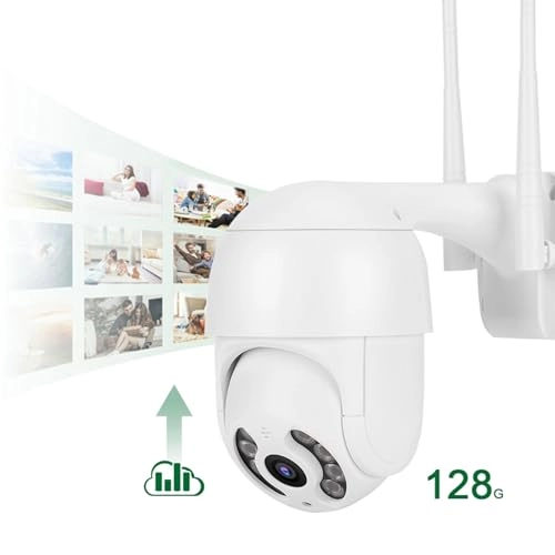 PTZ Dome Camera 1080P