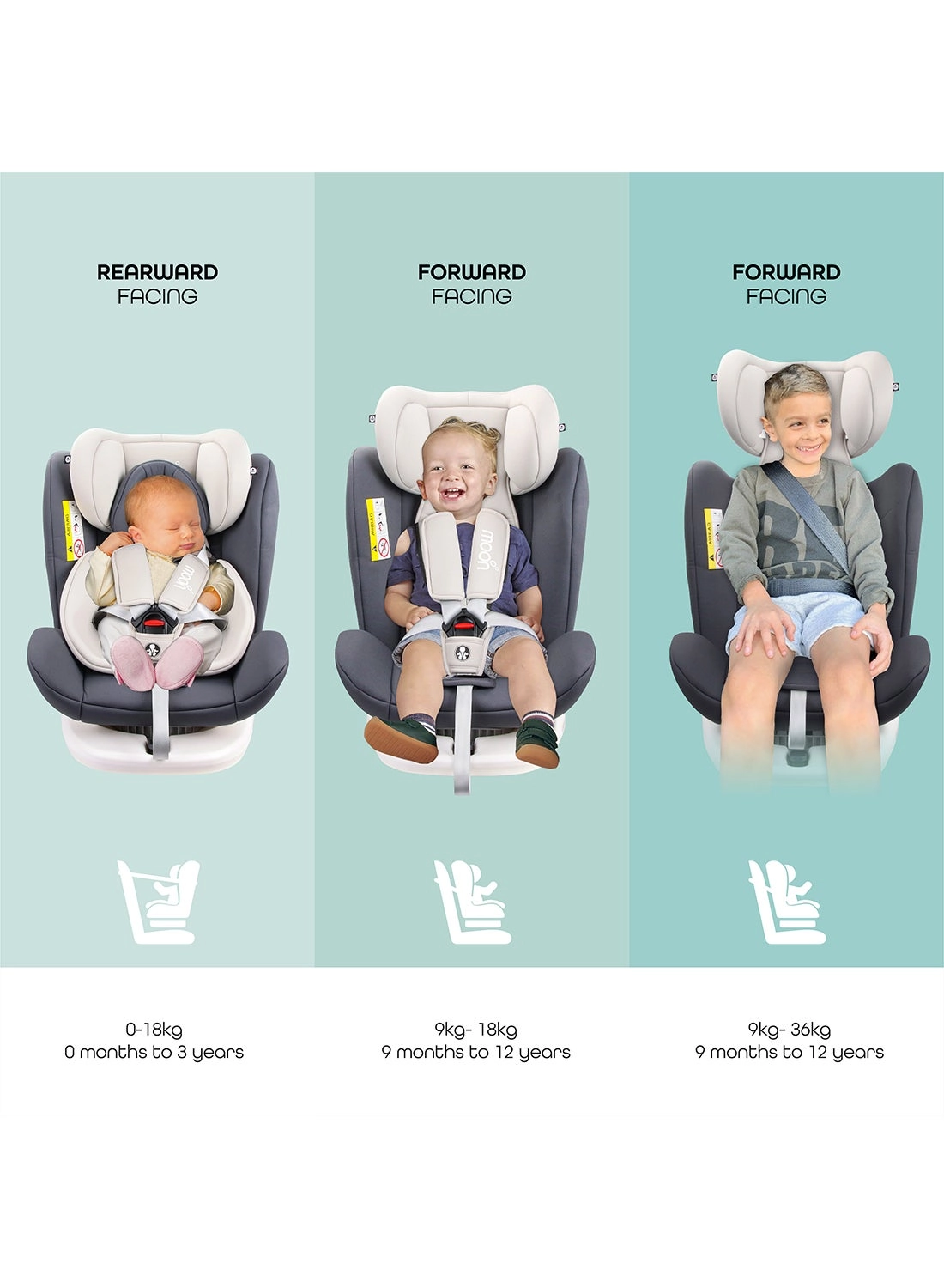 Rover - 0-12 yr(s) Seat Belt