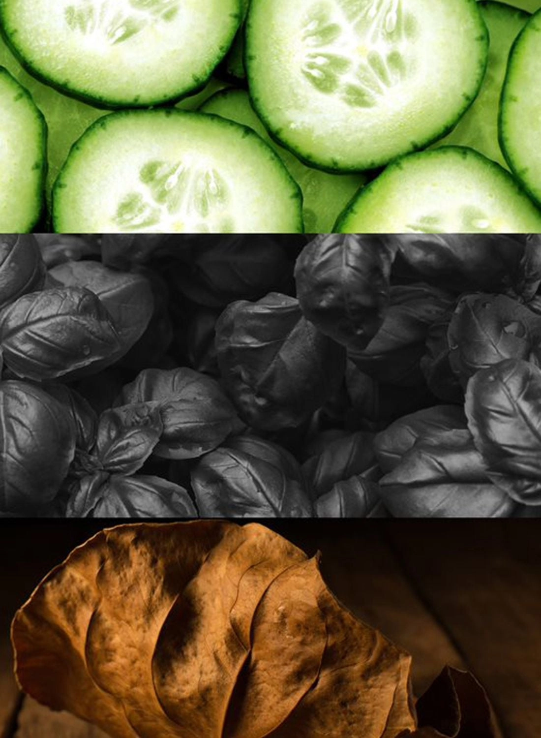 One Shock Eau de Toilette 100ml