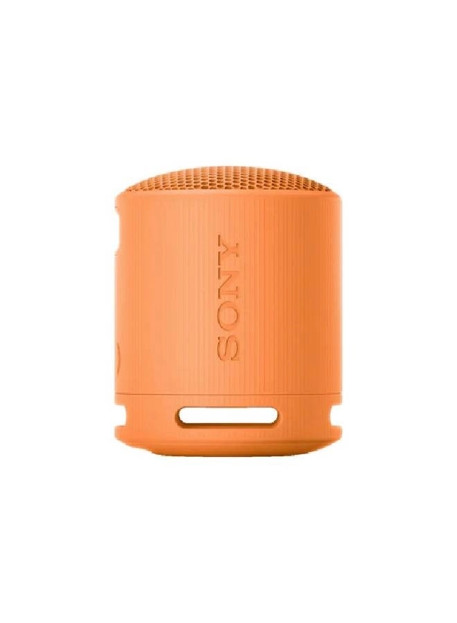 XB100 SRSXB100/D