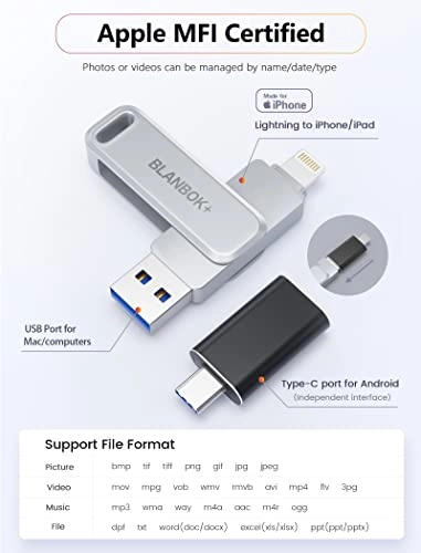 Pen Drive - 256 GB