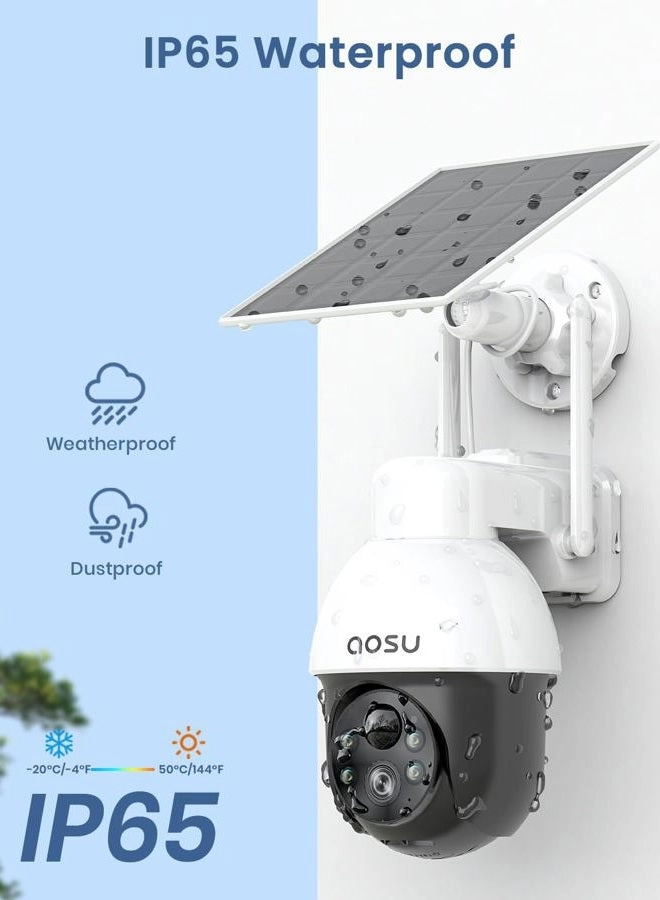 C9L