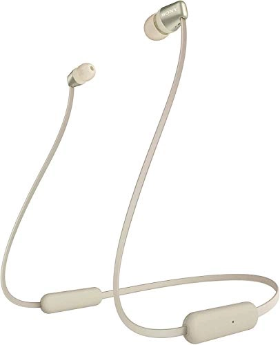 WI-C310 Wireless Headphone