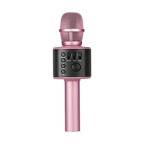 Karaoke Microphone