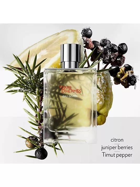 Terre D'Hermes M Eau de Parfum 75 ml