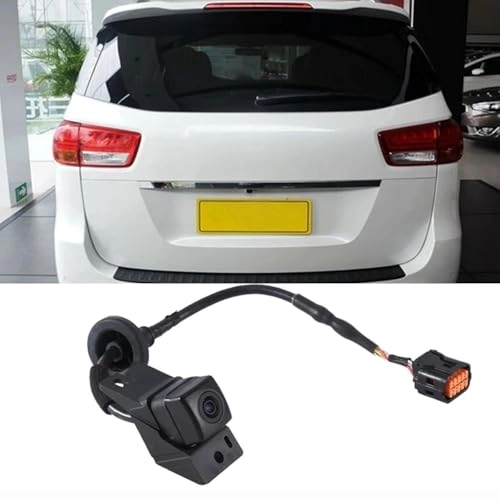 Backup Camera - Night vision