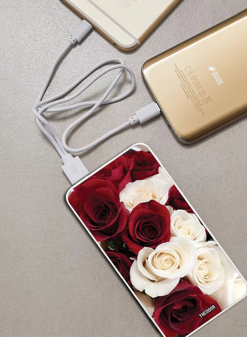 PPBA671 - 10000mAh 18W