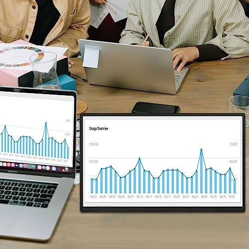 Portable Monitor - 1920 x 1080 18.5 inch