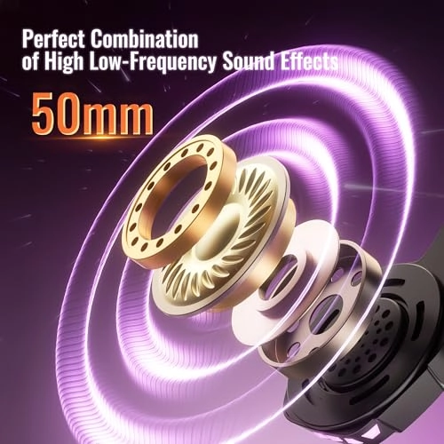 BW01-BT Wireless Headset