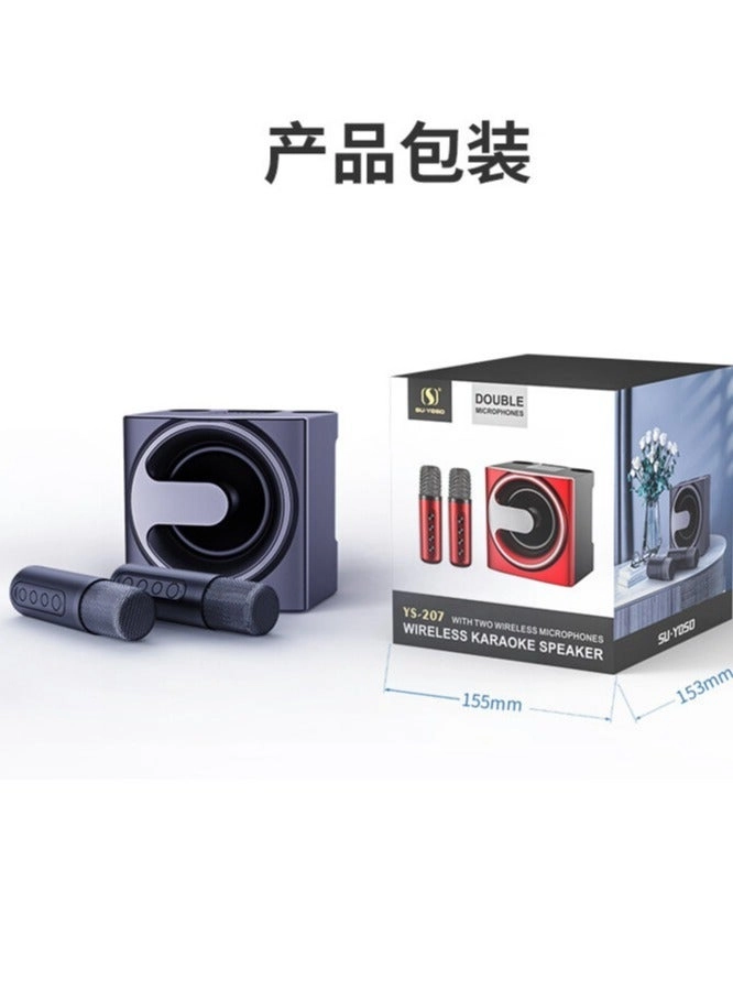YS-207 - 2 Microphones