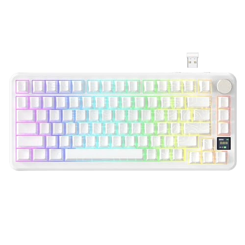 AK820PRO - EN Wired/Wireless