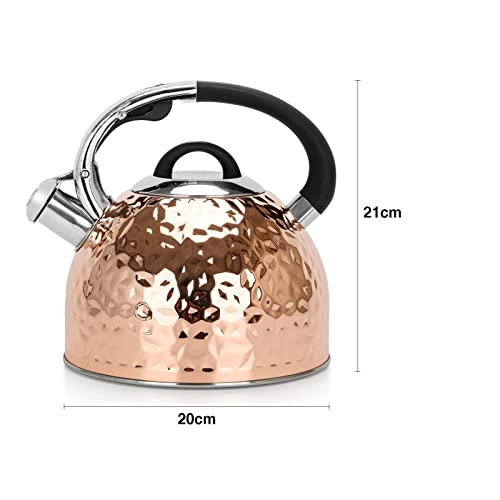 Kettle - Stainless Steel Auburn