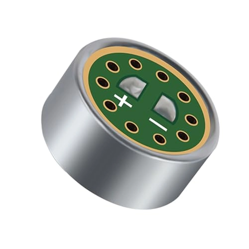 DR1412 Wired Microphone