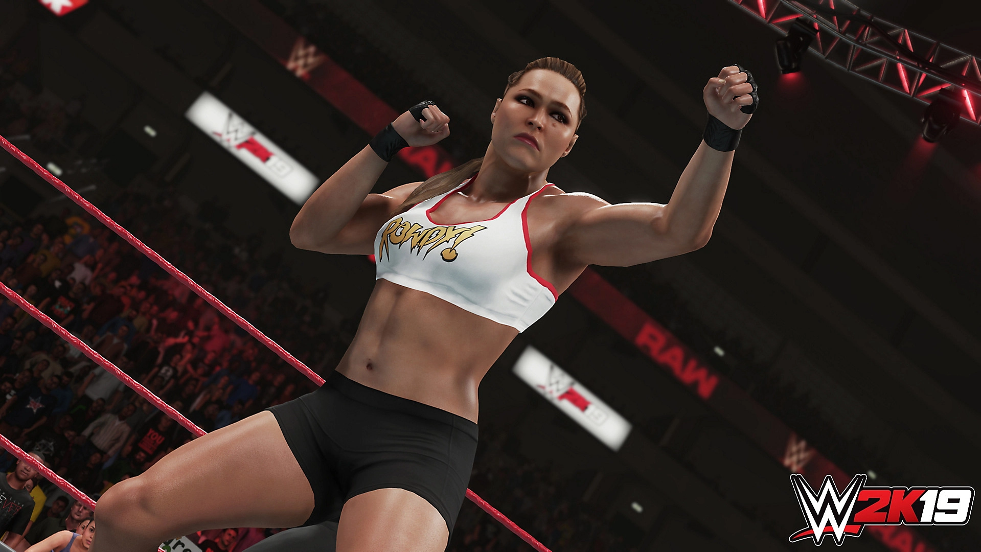 WWE 2K19 - PlayStation 4