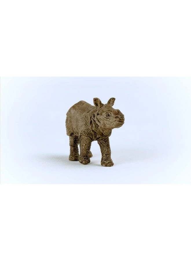 Baby Indian Rhinoceros