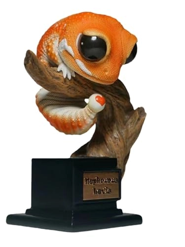 Gecko - Nephrurus Wheeleri Wheeleri (BWZ-SG)