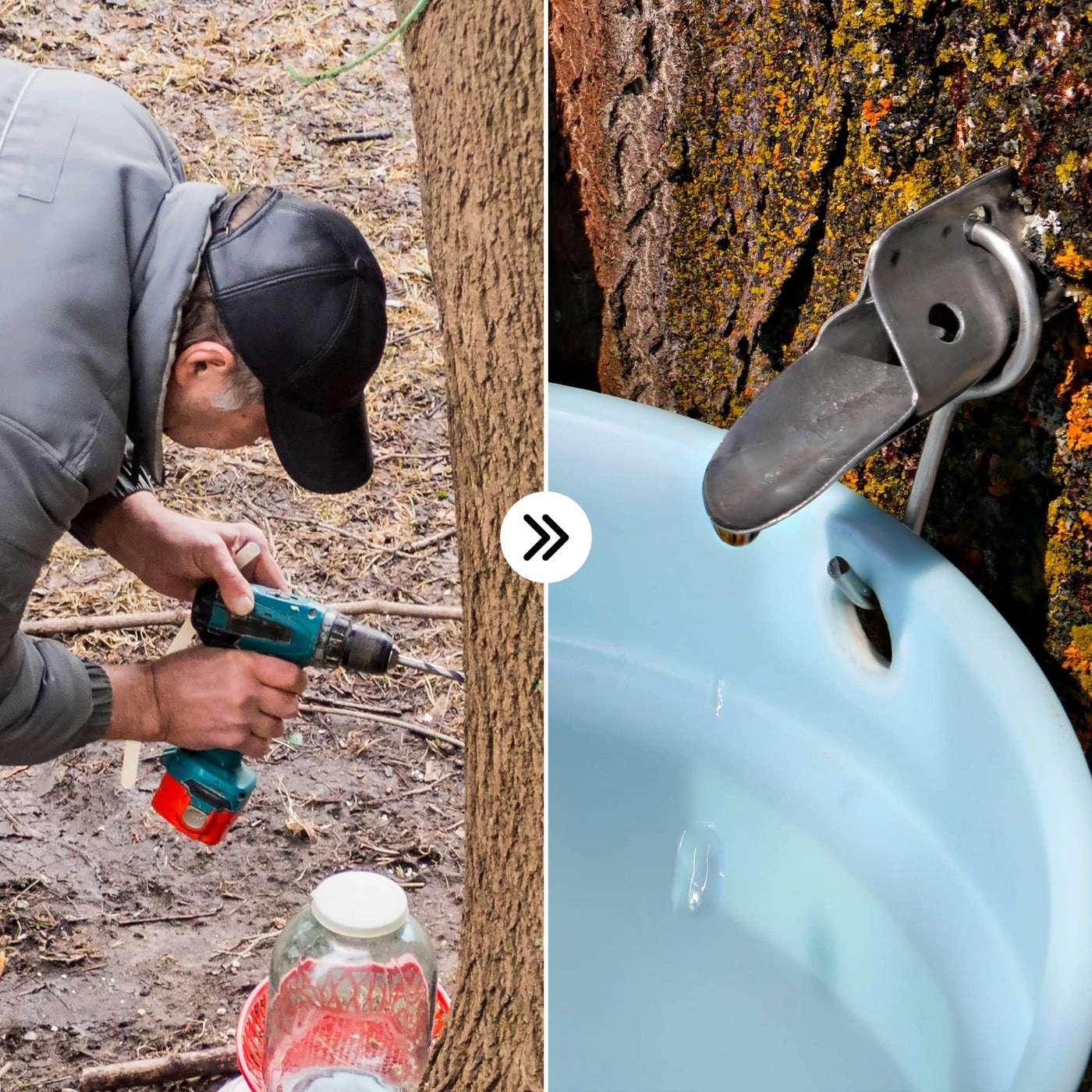 Maple Syrup Spiles - Stainless Steel 2 piece(s) + Maple Tree Tapping Drill Bit