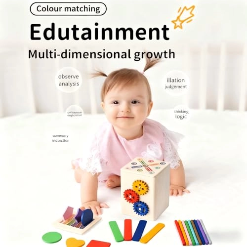 Montessori Wooden Toy - 3 years