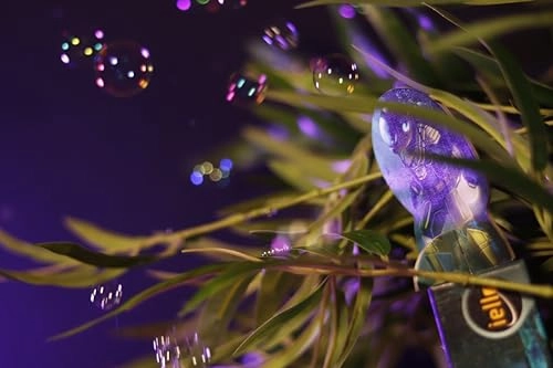 The Crew: Mission Underwater (French)