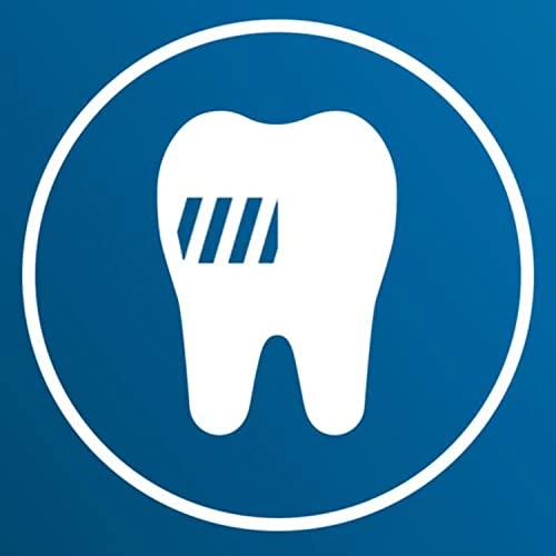 ExpertClean 7300 - Travel Case Black