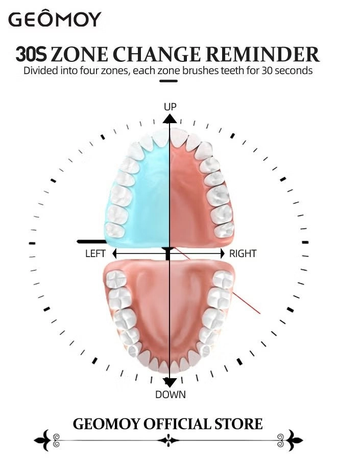 Sonic Electric Tooth Cleaner - 4 Cleaning Heads 5 Modes