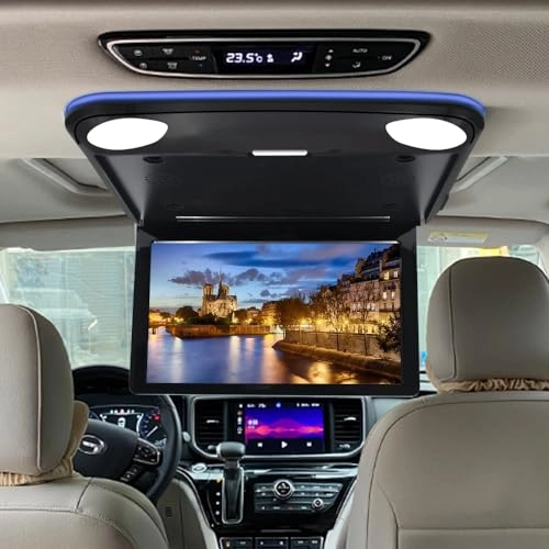 Flip Down Car Overhead Monitor - 11.6 Inches