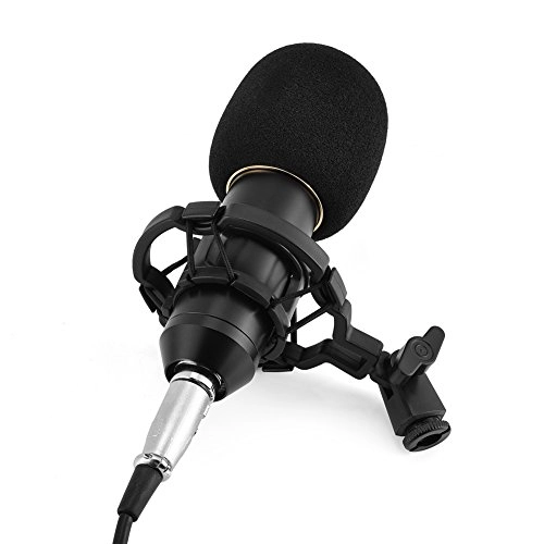 BM-900 USB Microphone
