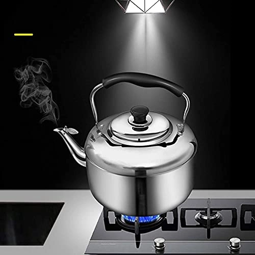 Stovetop Induction Whistling Kettle - 5L