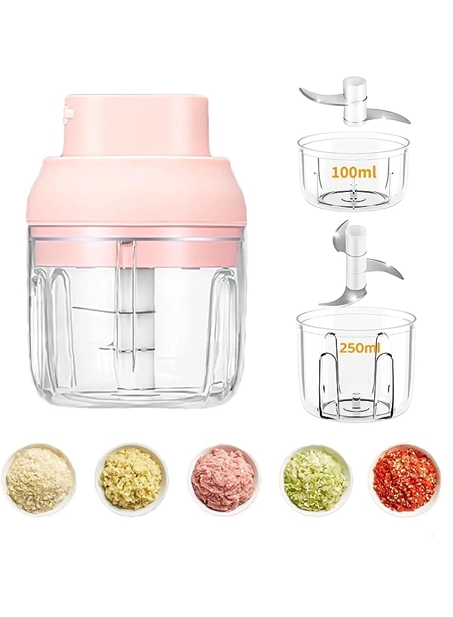 Wtrtr Mini Food Chopper and Processor - 250ml + 100ml Rechargeable