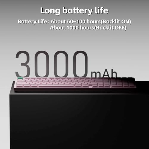 Node100 - Wired/Wireless