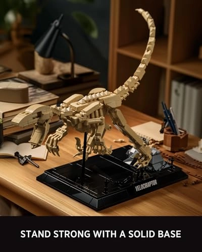 Velociraptor Fossil Model - Dinosaur Skeleton Display Base