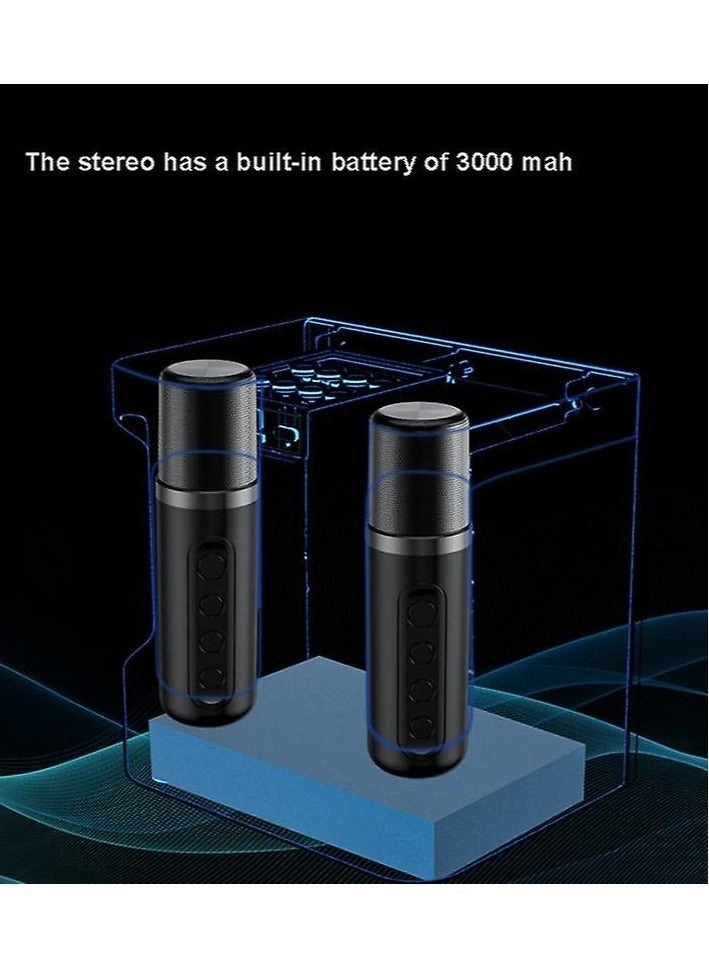 YS-207 - 2 Microphones