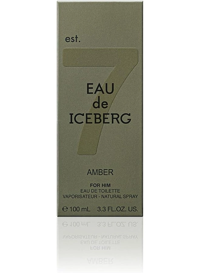 Amber Man Eau de Toilette 100 ml
