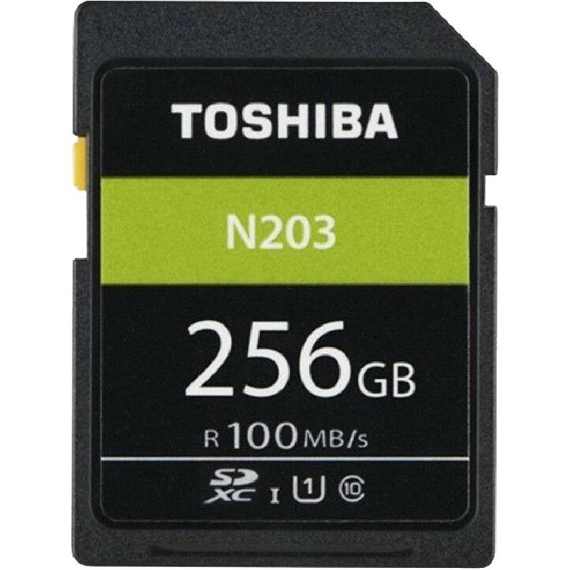 Exceria N203 Micro SD Class 10 256GB