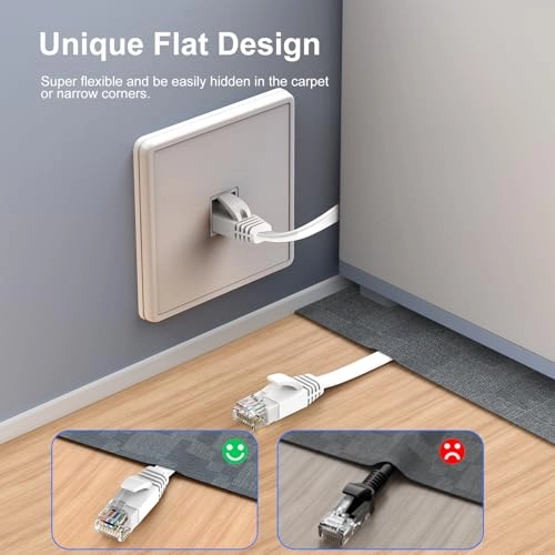 Cat 6 Ethernet Cable - 100 ft