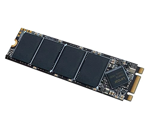 NM100 - 256GB M.2 2280