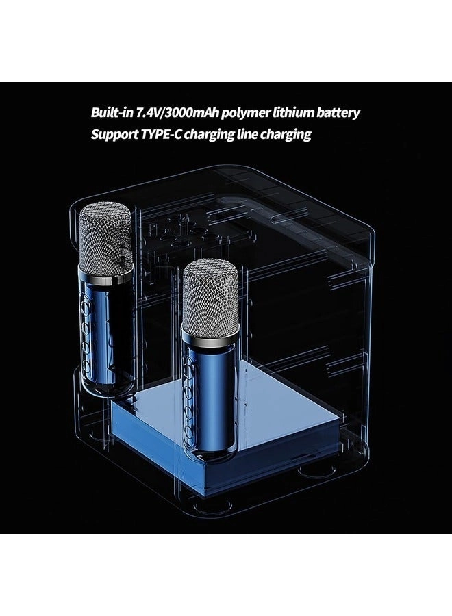 SD-508 - Dual Wireless Microphones