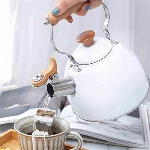 Stainless Steel Kettle - 2.5L