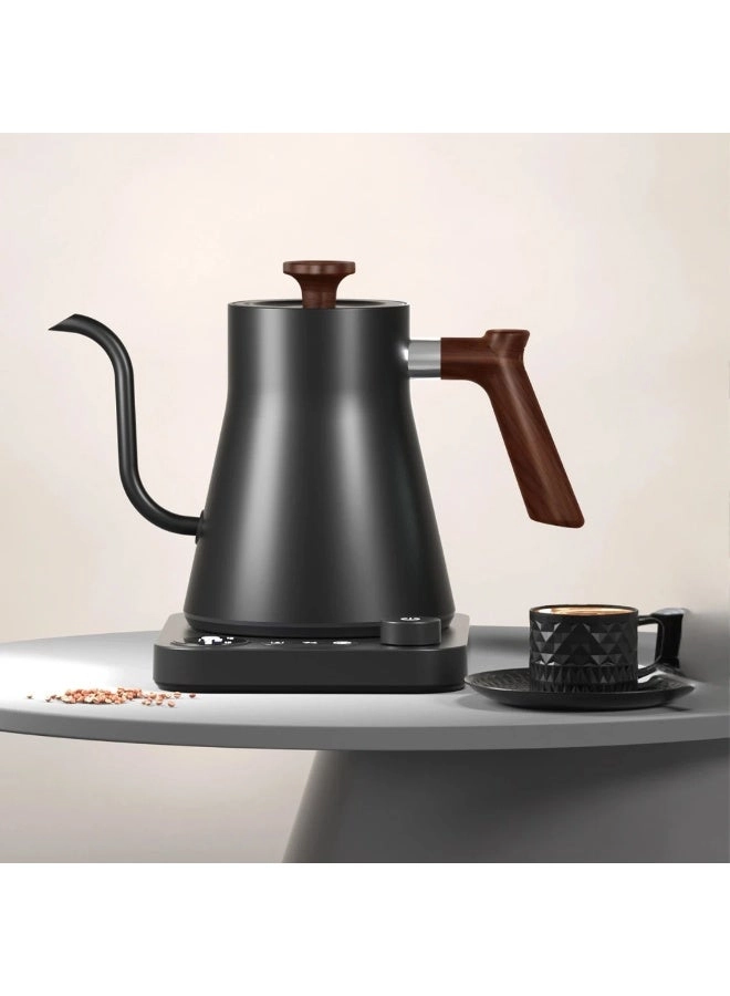 Electric Kettle